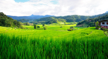 film-service-thailand