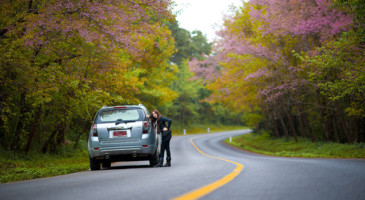 film-service-thailand