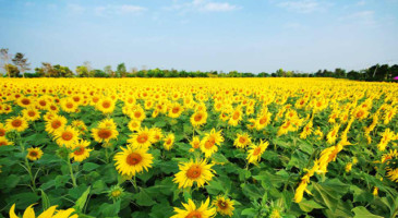 photography-production-support-services-thailand