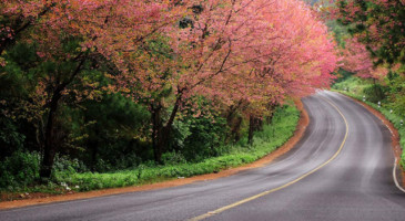 thailand-video-production-support-services