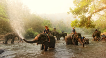 film-production-service-thailand