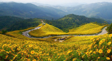 tv-film-line-producer-thailand