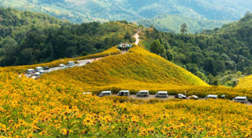 film-production-service-thailand