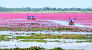 film-service-thailand