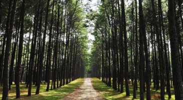 video-production-service-thailand