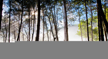 production-service-thailand