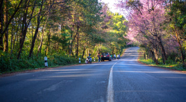 production-service-thailand