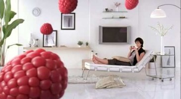 Lipton - Fruit Tea Lipton - Fruit Tea